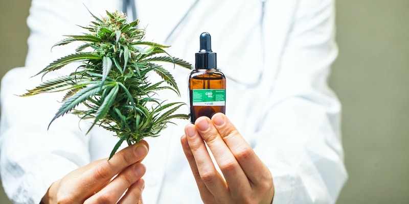 Cannabis, cannabinoids, and cancer: the scientific evidence so far