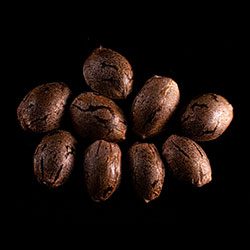 Marijuana seeds: CBG Auto, 10+3 Seed
