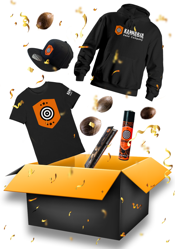 Geschenke bei jeder Bestellung!