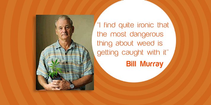 10 quotes about marihuana that will not leave you indifferent