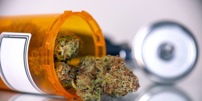 spanish congress medical cannabis