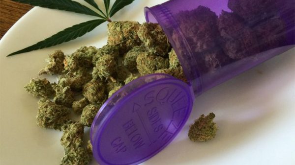 Canadian Patients are now allowed to grow cannabis at home