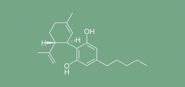 Cannabidiol improves severe form of childhood epilepsy in controlled clinical trial