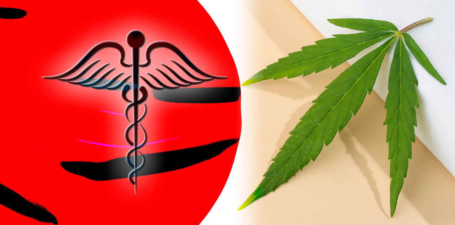 Cannabis in Japan