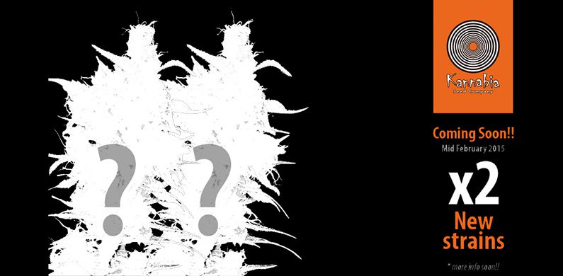 Coming Soon – Feb 2015
