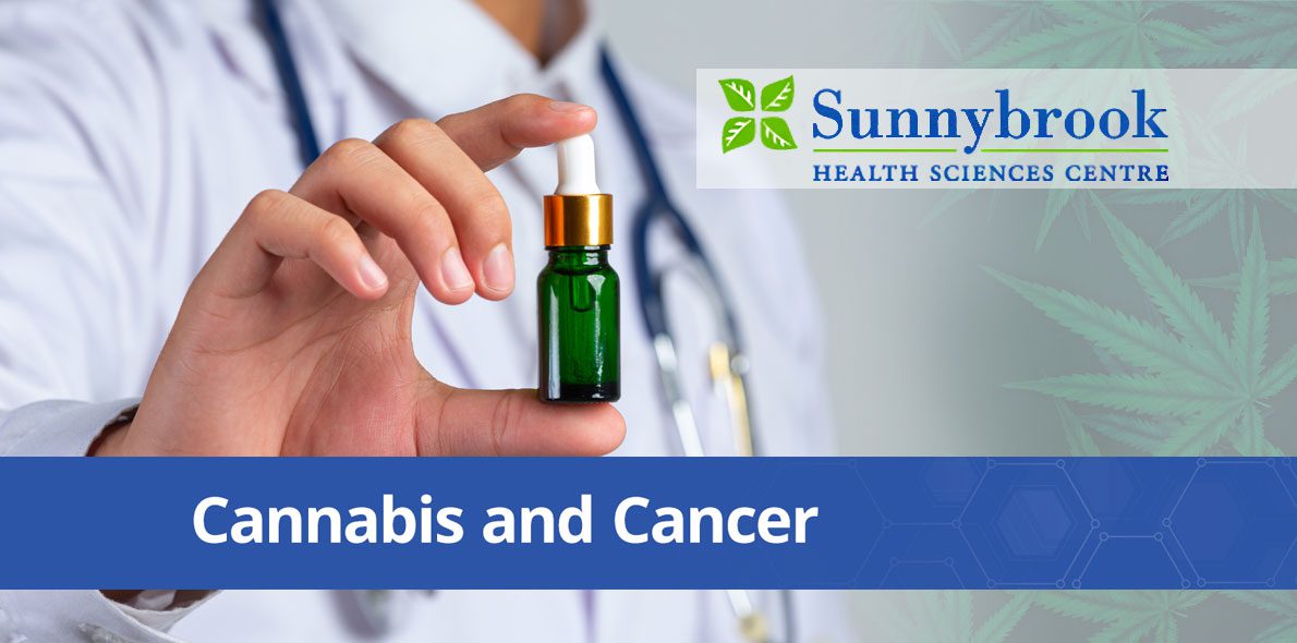 Sunnybrook Hospital in Canada to Prescribe Medical Cannabis to Patients