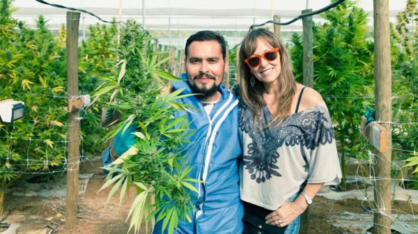 “El cannabis permitió pasar de la silla de ruedas a tener una vida completamente normal”