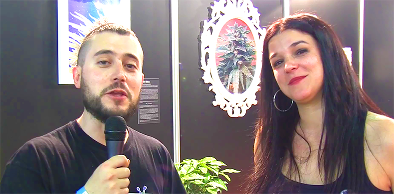 Interview Kannabia Spannabis Barcelona 2014