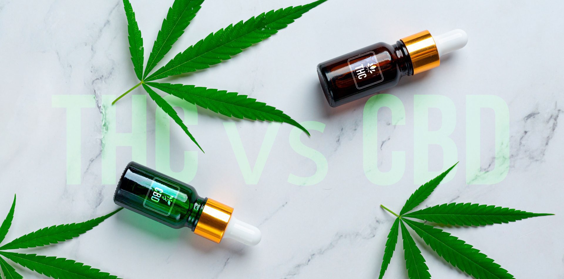 differences hemp cbd marihuana