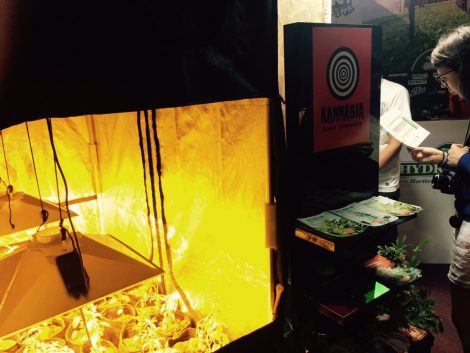 Gallery – Expocannabis Uruguay 2015 – Montevideo