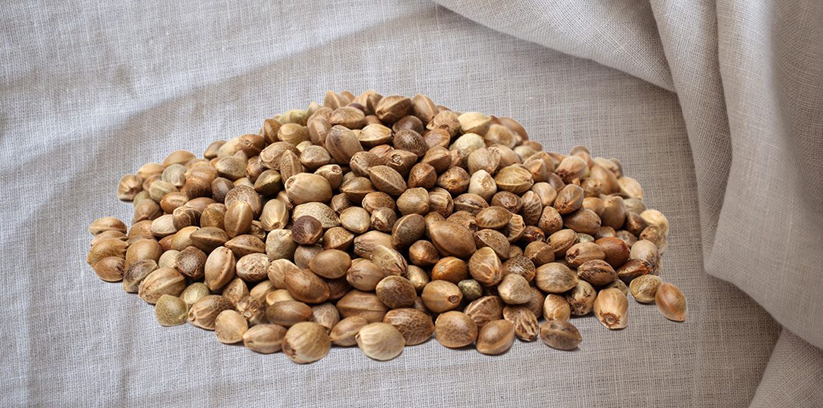 Hemp’s nutritional facts