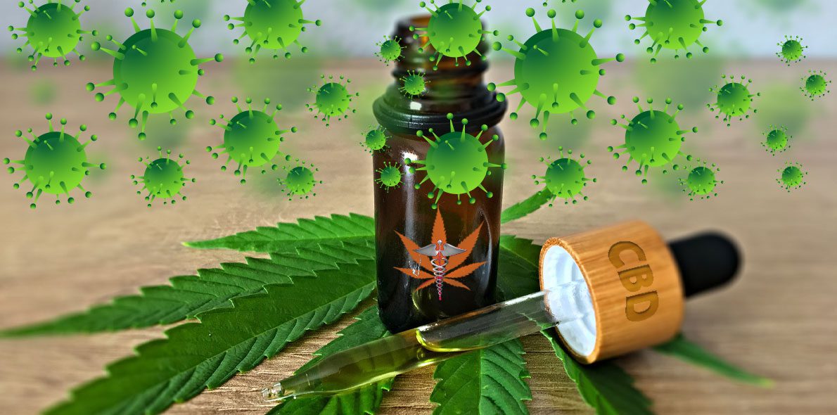 Can cannabis help fight or prevent coronavirus? Between hope, publicity and rumour.