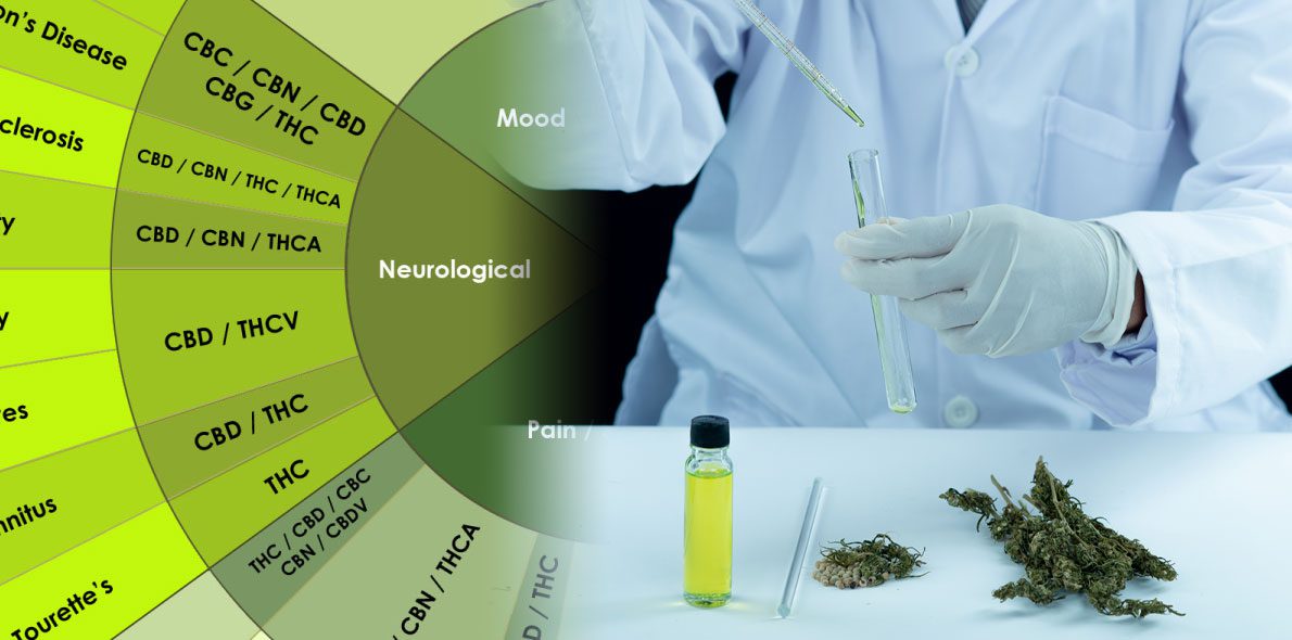 More cannabinoids in the test tubes