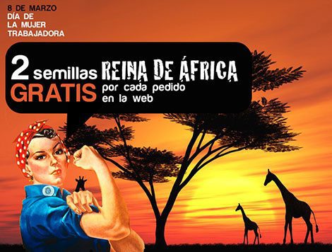 Kannabia special promotion for International Women’s Day