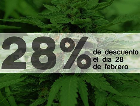 Get a 28% discount on your seeds to celebrate Andalucia’s Day