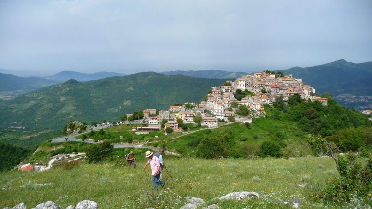 Un progetto pilota per la canapa