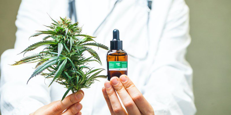 The Spanish Congress gives the green light to medical cannabis: What can we expect next?