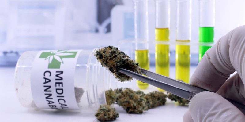 thc