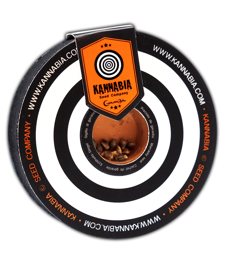 Pack de semillas Kannabia