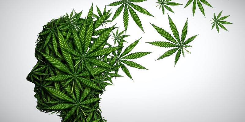 How does THC change your thinking process?