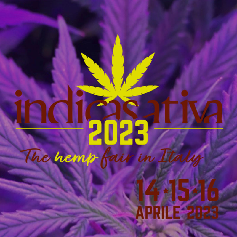 Indica Sativa