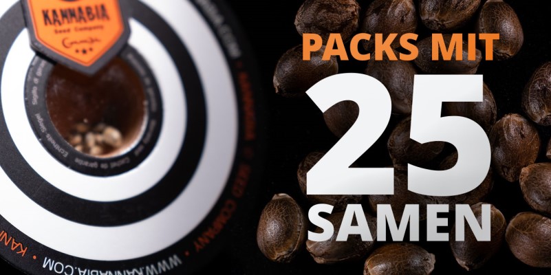 Packs mit 25 Samen