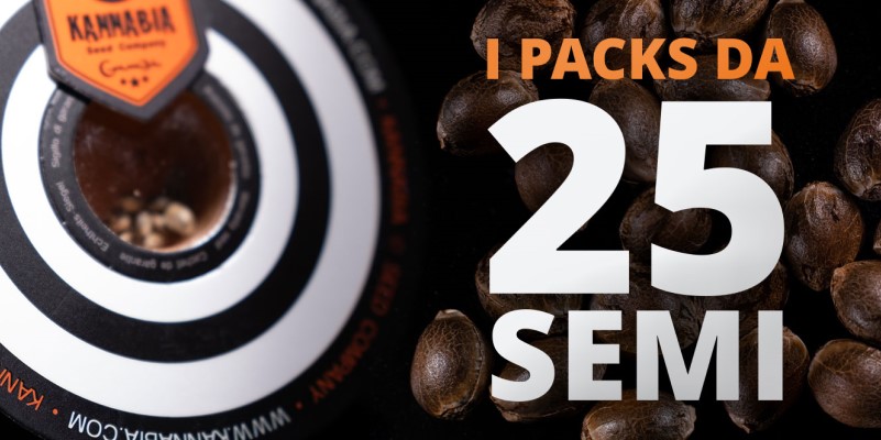 Packs da 25 semi
