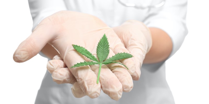spanish congress medical cannabis