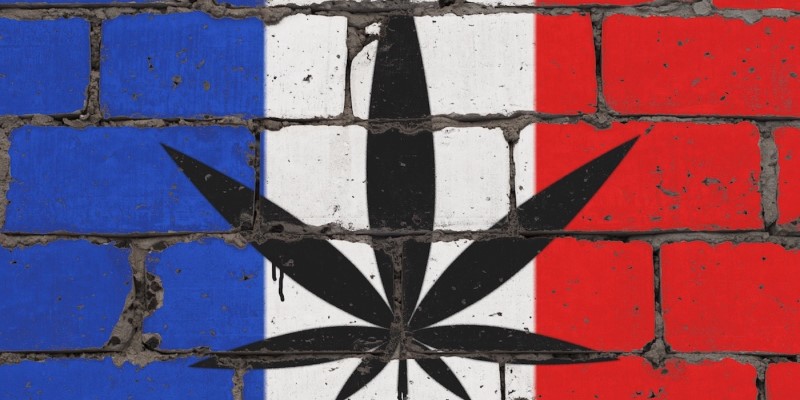 Francia autoriza definitivamente la venta de flores de CBD
