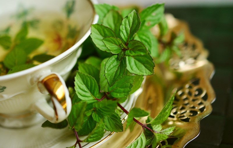 10 terpeni cannabis