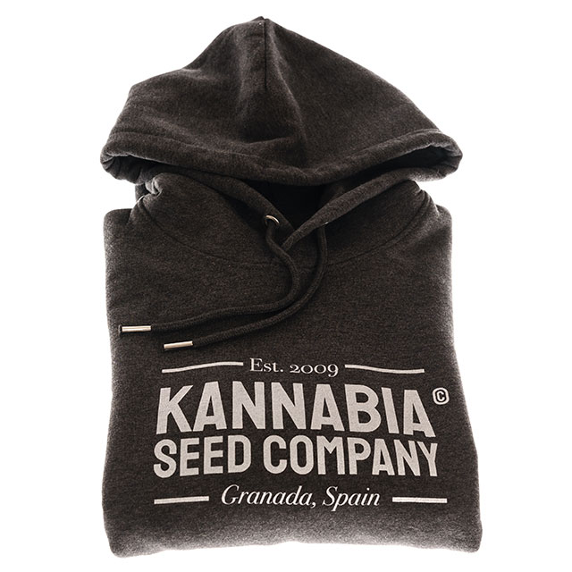 Merchandising: Sweatshirt Premium Dunkelgraues, M