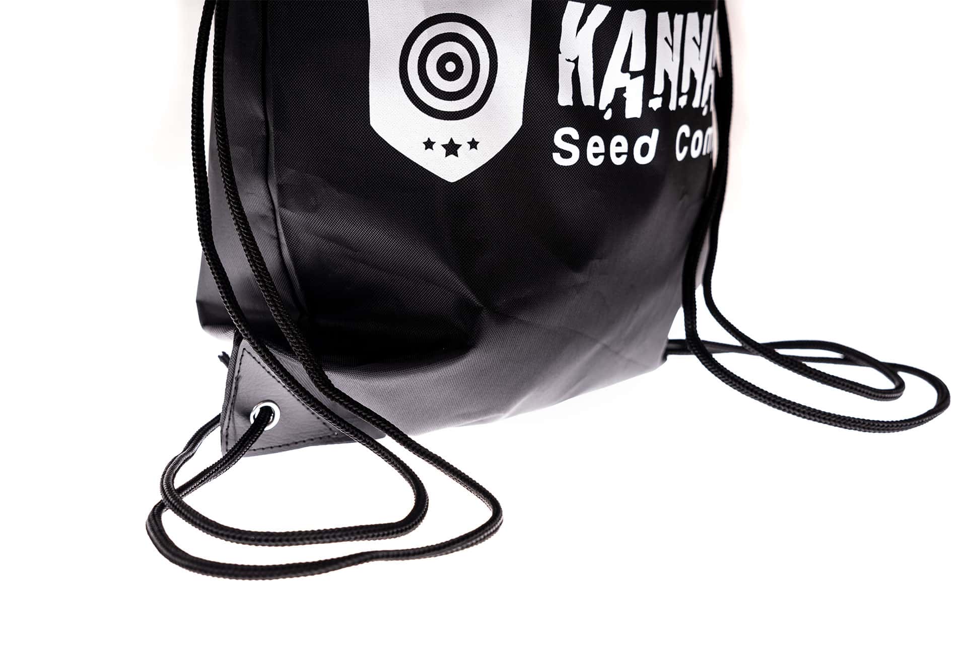 Merchandising - : Backpack (2)