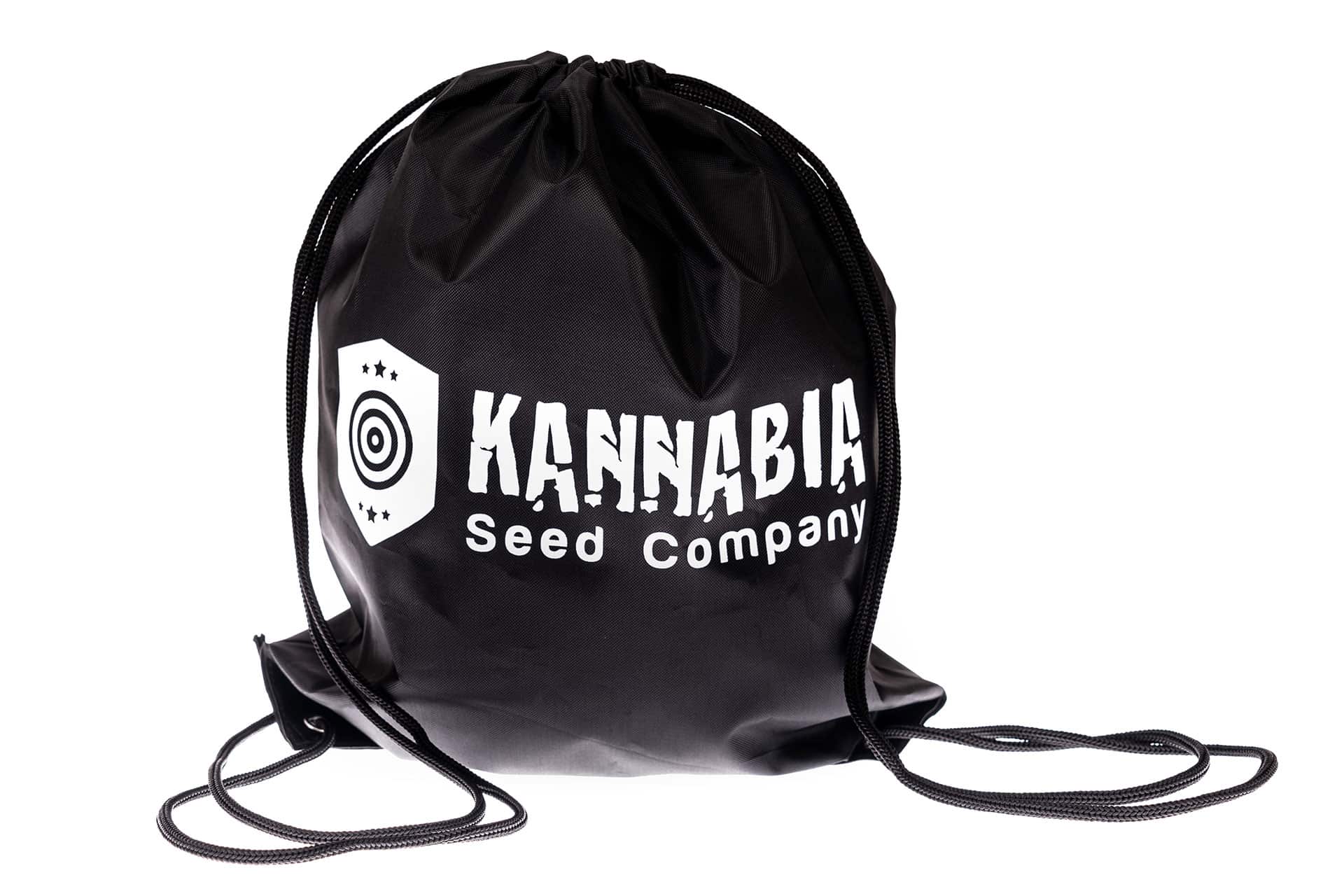 Merchandising - : Backpack (3)