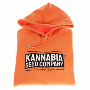 Sweatshirt Premium Orangenes