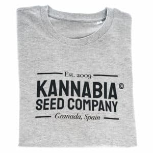 Premium T-Shirt Grey