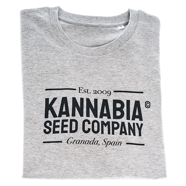 Premium T-Shirt Grey