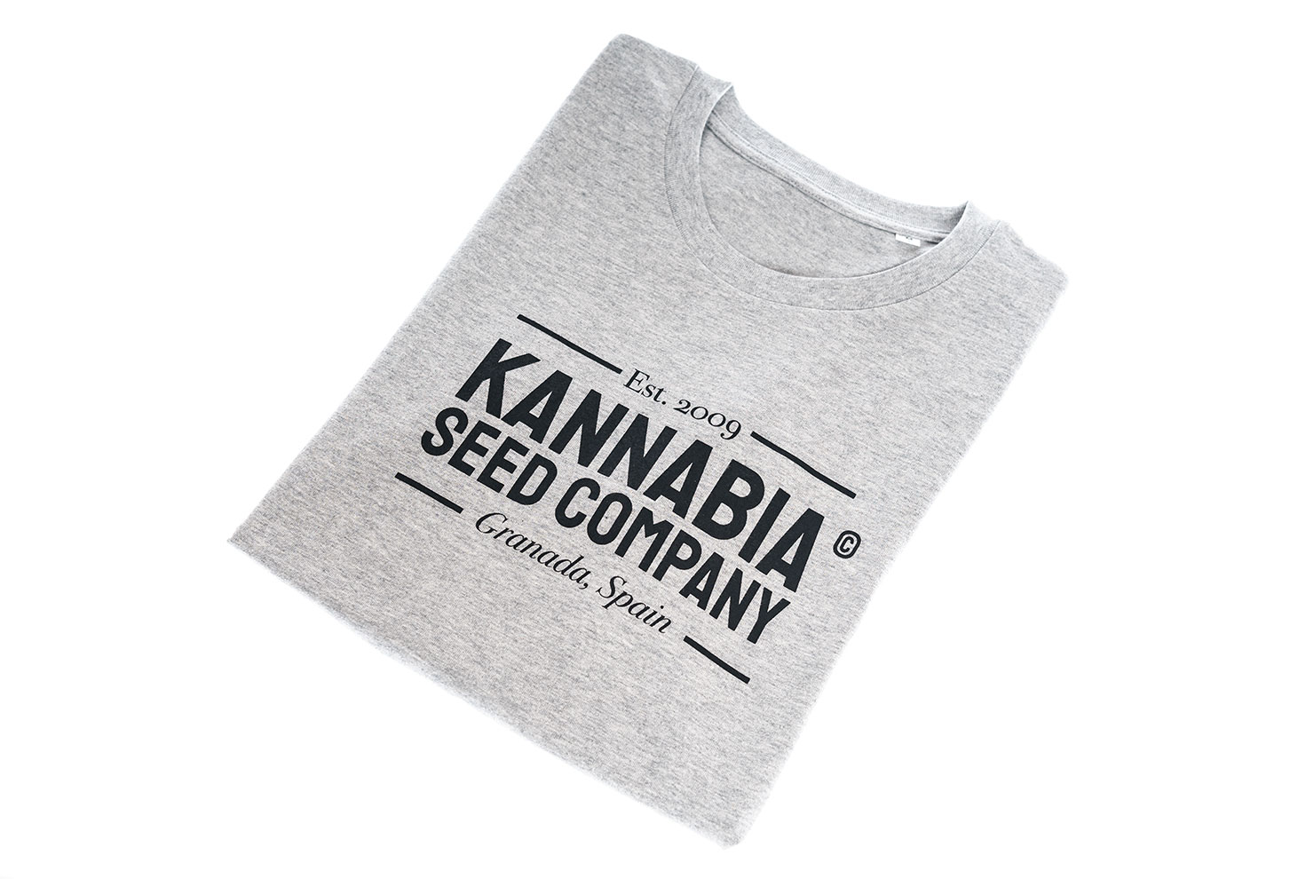 Merchandising - : Premium T-Shirt Grey (1)