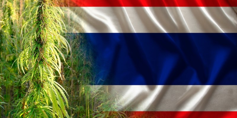 Tailandia, ¿un nuevo paraíso para el cannabis?