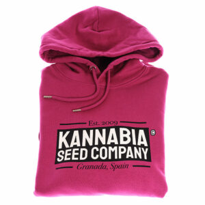 Sweatshirt Premium Lilafarbenes