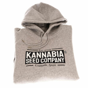 Sweatshirt Premium Hellgraues