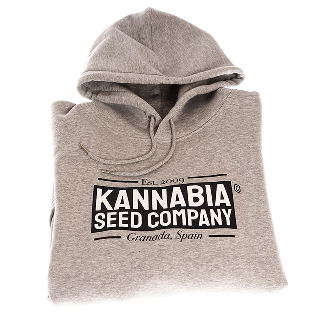 Merchandising: Sweatshirt Premium Hellgraues, M