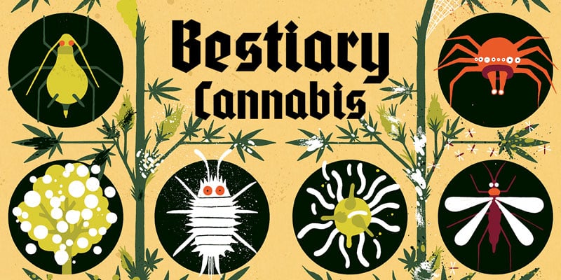 bestiary of cannabis pests