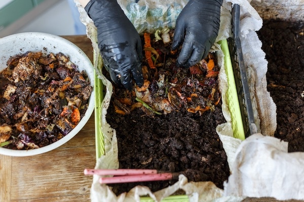 use microorganisms grow kannabis