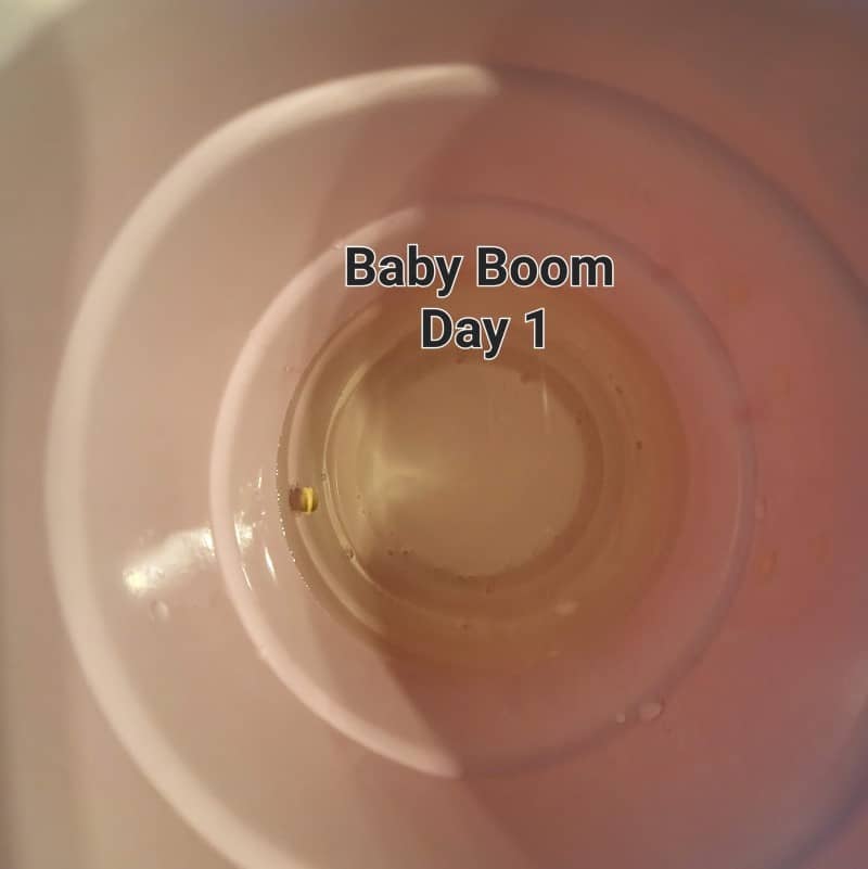 grow tagebuch baby boom auto