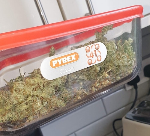 growreport
