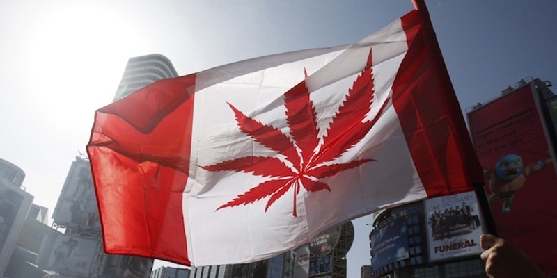 Was wir nach 5 Jahren Legalisierung in Kanada gelernt haben
