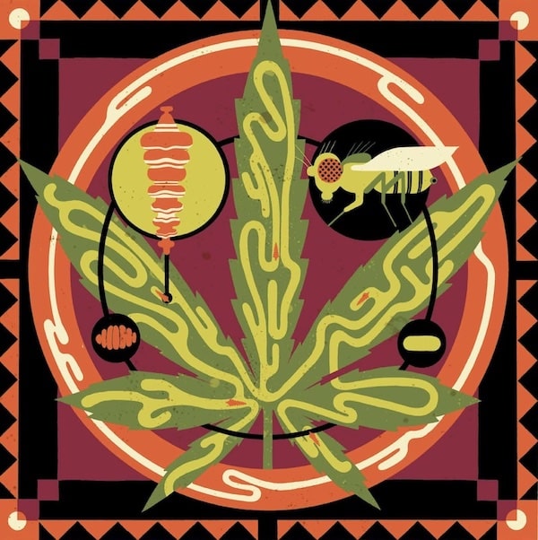 leaf miners