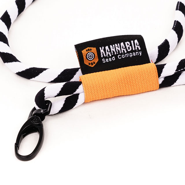 Lanyard