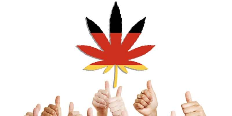 Legalisierung von Cannabis in Deutschland: Alles, was Du wissen musst
