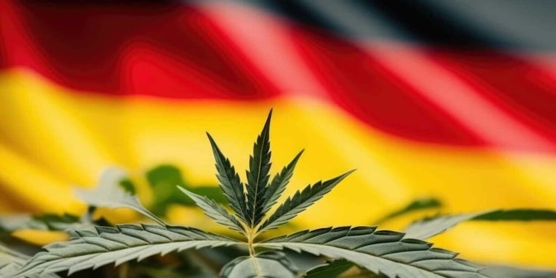What does the legalisation of cannabis in Germany mean for the rest of Europe?
